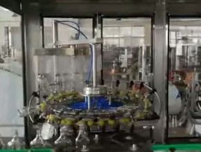 18頭全自動翻轉式沖瓶機，自動控瓶機