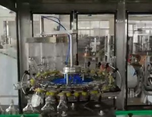 18頭全自動翻轉式沖瓶機，自動控瓶機